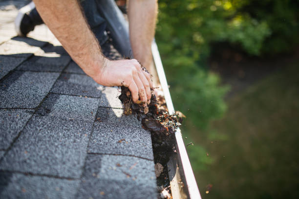 Gutter cleaning